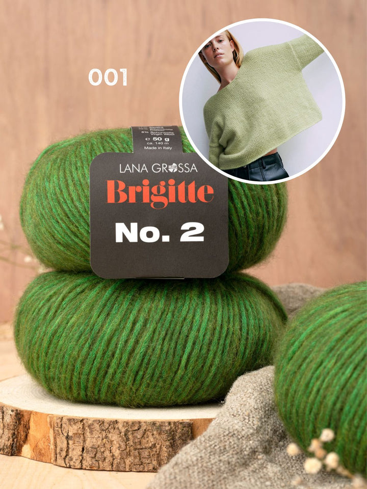 Breipakket Brigitte no. 2 pullover